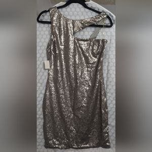 Silver Sequin dress